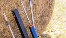 2HayTest_ph