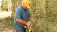 2HayTesting_ph