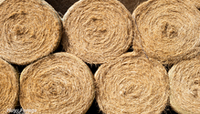 2Hay_ph