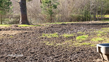 2Mud_ph