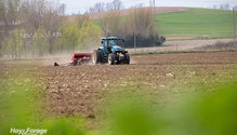 2NewSeeding_ph