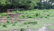 2PastureFix_ph