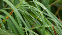 2Rain_ph