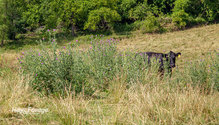 2Renovation_ph