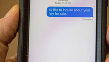 2Scams_ph
