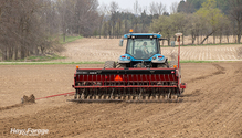 2SeedingRate_ph
