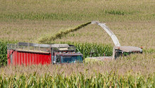 2Silage_ph
