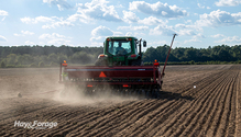 2SpringSeeding_ph