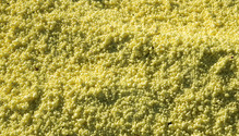 2Sulfur_ph