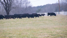 2TuckFarm_ph