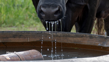 2Water_ph