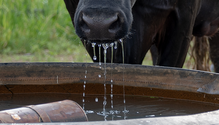 2Water_ph