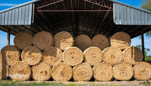 2WinterHay_ph