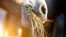 2_iStock-469682806_ph