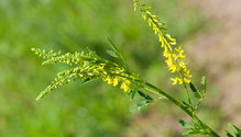 2_iStock-850826932_ph