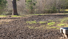 2mud_ph