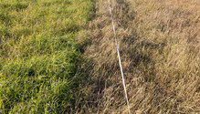 2stockpiled_ph
