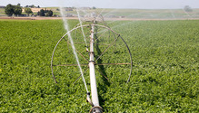 2water_ph