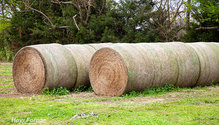 3-BaleStorage_ph