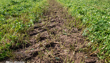 3-SoilCompaction_ph