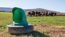 31-IMG_4754