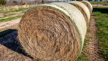 3BaleWeight_ph