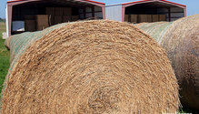 3Bale_ph3