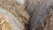 3Bales_ph