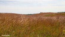 3CRP_ph