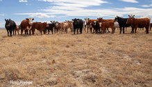 3Drought_ph