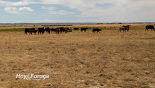 3Drought_ph