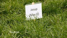 3Fescue_ph