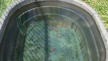 3Fish_ph