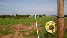 3GrazeAlfalfa_ph