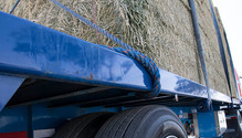 3HayHauler_ph