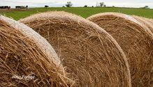 3HayInventory_ph