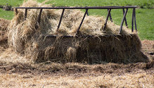 3HayLoss_ph
