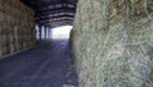3HayMarket_ph