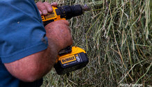 3HaySample_ph