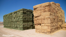 3HayStore_ph