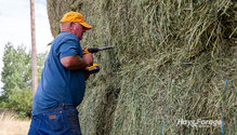 3HayTest_ph