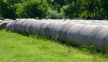 3Hay_ph