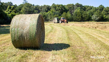 3Hay_ph