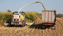 3Inoculant_ph