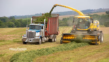 3Inoculant_ph