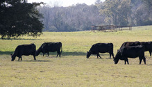 3PastureRent_ph