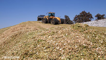 3Silage_ph