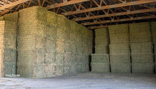 3USDA_ph