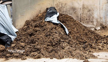 3Waste_ph