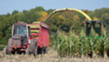 3WetHarvest_ph